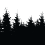 trees.png