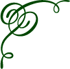 ornament_top_left.png